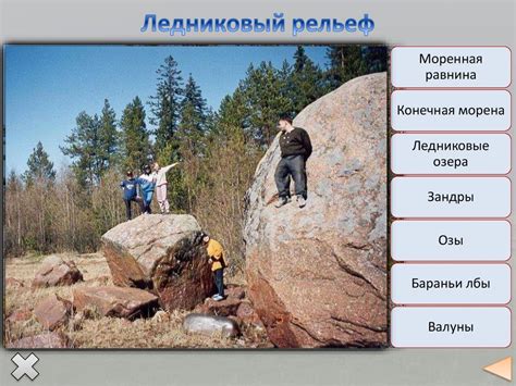 Природа Восточно-Европейской равнины - презентация онлайн
