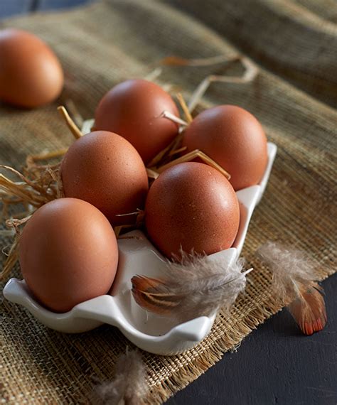 les oeufs goutez la qualite