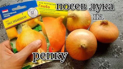 Посев лука на репку/ выращивание лука из семян/ Эксибишен/ Глобо/# ...