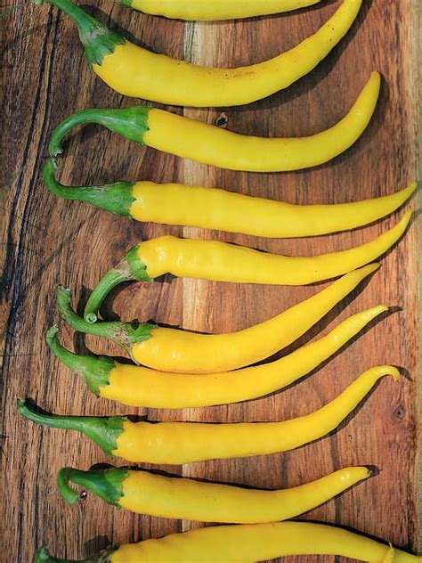 Перец острый Кайенский жёлтый (Cayenne Gold)