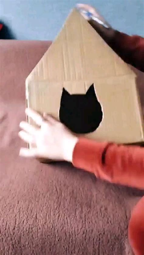 Домик для кошки из картонной коробки 😻 | Самодельные игрушки для кошек ...