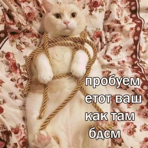 БДСМ | Пикабу