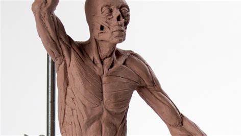 ecorche - Google Search | Скульптура