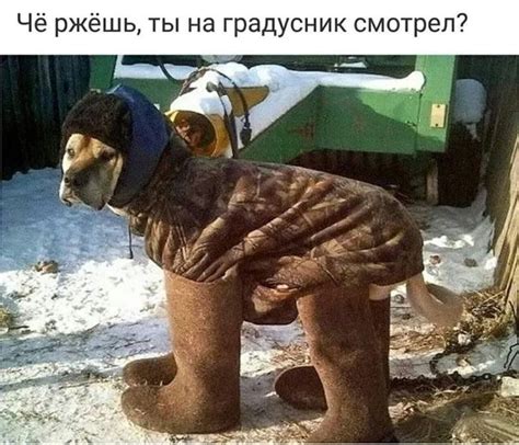 Пин от пользователя Уласова Ольга на доске открытки | Самые милые ...