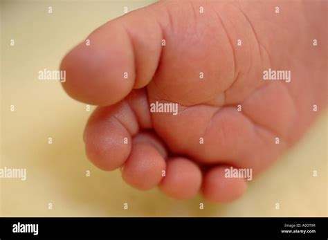 Newborn baby's foot Stock Photo - Alamy