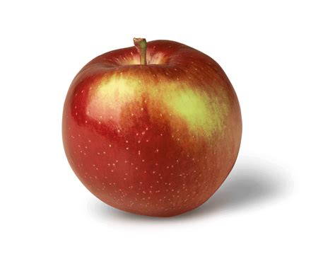 Types of Apples - The Cards We Drew