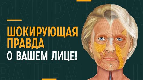 Как понять, что ваше лицо стареет. Вы обязаны позаботиться об этом ...