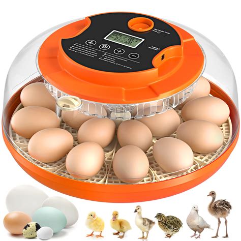 egg incubator  automatic egg turning  humidity control