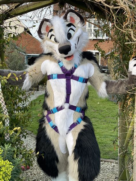 Fursuit Yiff, Furry Suit, Cosy Outfit, Furry Pics, Anthro Furry