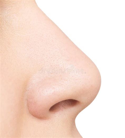 603,208 Nose Stock Photos - Free & Royalty-Free Stock Photos from ...