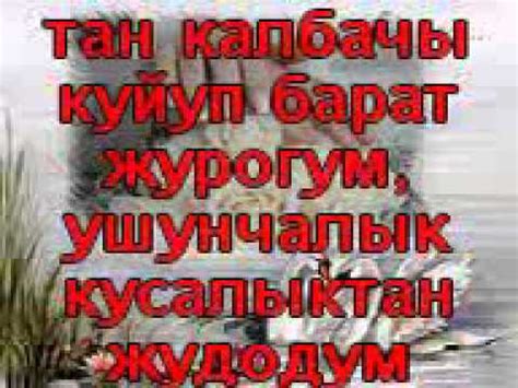 Суйуу - YouTube