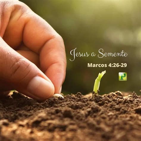 Jesus Comparou O Reino De Deus A Qual Semente - Jesus a Semente – Marcos 4:26-29 | Mensagens bíblicas para reflexão ...