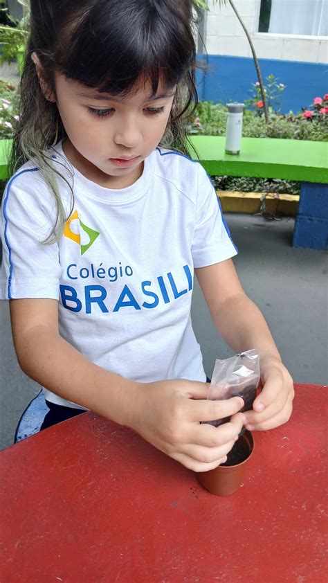 Qual é A Importância De Classificar Os Seres Vivos