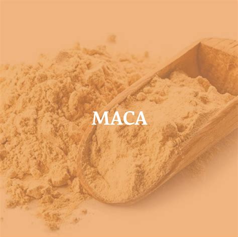Maca – The Maca Experts Australia