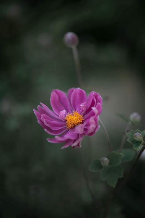 Big+Japanese+Ass Photos, Download The BEST Free Big+Japanese+Ass Stock