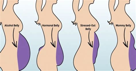 There are 5 types of belly fat, and we offer an explanation for them ...