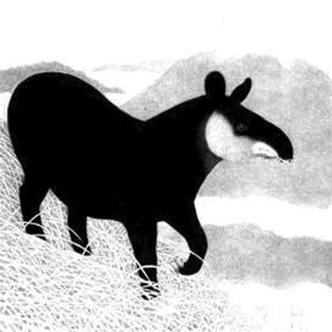 cropped-Site-Icon.jpg | Andean Tapir Fund