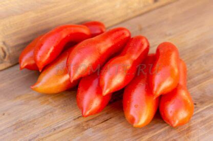 КОРОЛЕВСКИЙ ПАЛЕЦ Royal Finger — BTomate