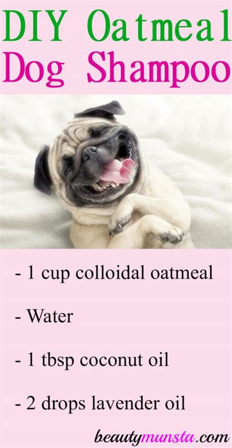 how to make dog oatmeal shampoo