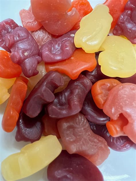gummy zoo animals ainslees salt water taffy  candy store