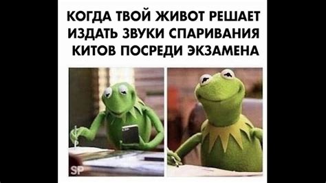 САМЫЙ СМЕШНОЙ МЕМ В МИРЕ №17 - YouTube