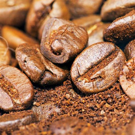 cofe images   png stickers wallpapers backgrounds