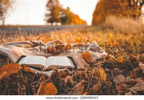bible book leaf royalty  images stock  pictures