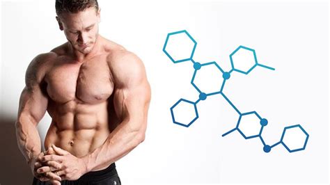 Estrogen & Cortisol - How These 2 Hormones Prevent Men From Losing ...