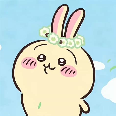 chiikawa usagi   cute cartoon wallpapers usagi bunny art