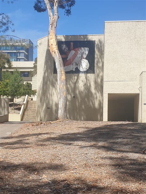 Industry leaders explain how to maximize your new Solis equipment 20