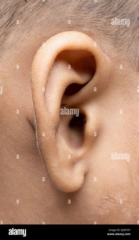 senior man ear close  macro shot stock photo alamy