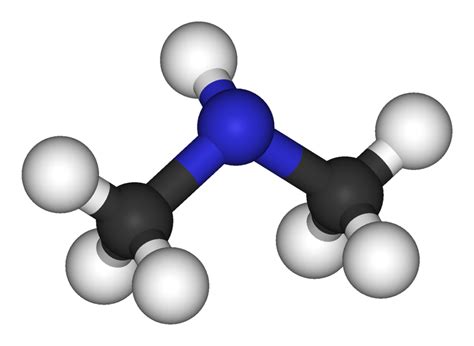 Dimethylamine: A Hazardous Yet Versatile Compound