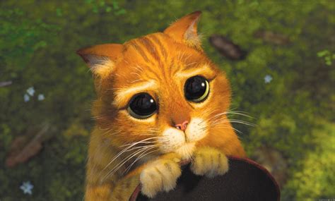 Puss In Boots Sad Face