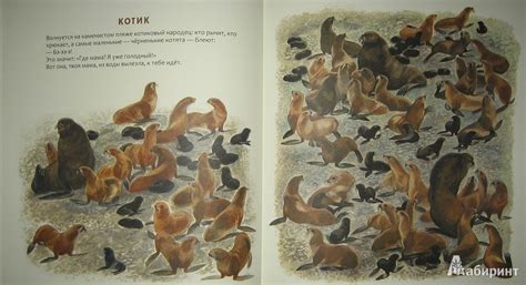 Книга: Кто в море живет - Святослав Сахарнов. Купить книгу, читать ...