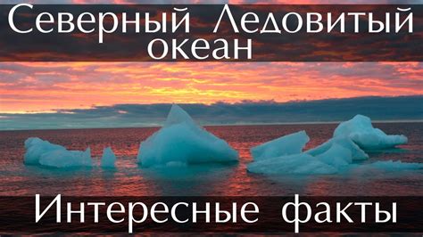 Северный Ледовитый океан - Интересные факты - YouTube