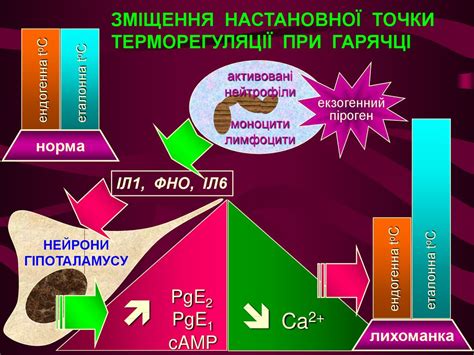 Патологія терморегуляції. Гіпертермія, гіпотермія. Гарячка: етіологія ...
