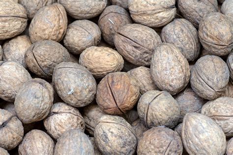 Walnuts Nuts Close Up - Free photo on Pixabay - Pixabay