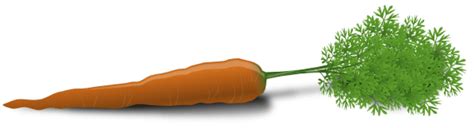 bootstrap caret pastorwing