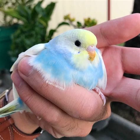 Pin on Cute