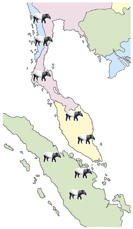 MNS Tapir Campaign - LEND A HAND