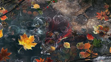 Rain Drops Autumn Leaves 4K wallpaper download