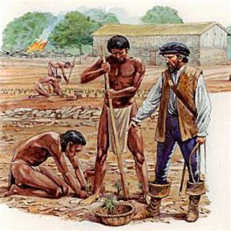 Mita E Encomienda
