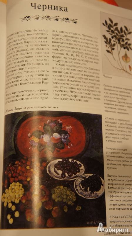 Книга: Самые вкусные овощи и фрукты - . Купить книгу, читать рецензии ...