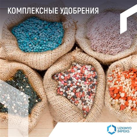 Современные комплексные удобрения: отличия и польза для растений.
