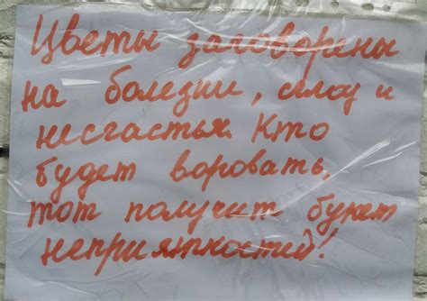 Заговор | Пикабу