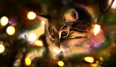 Обои на рабочий стол Кошка сидит на новогодней елке, by Martith, обои ...
