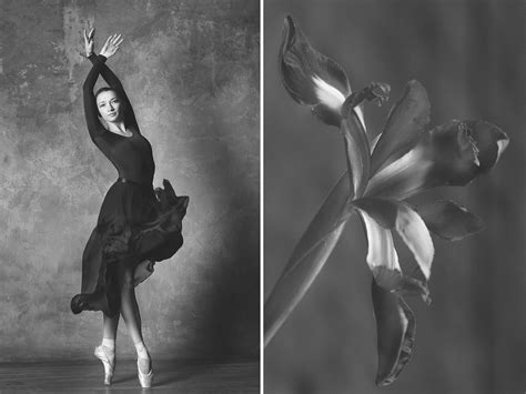 Refined beauty of gorgeous Russian ballerinas replicating flowers ...