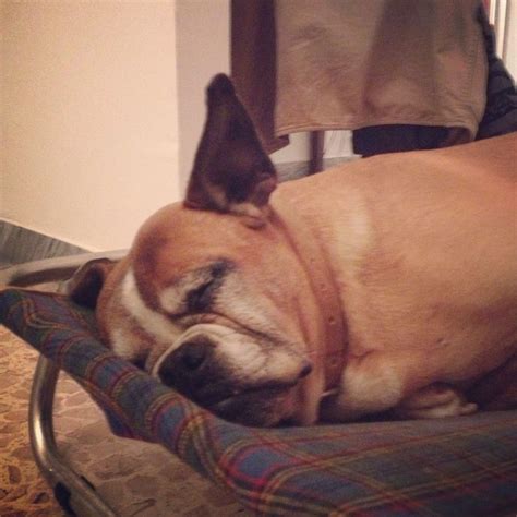 sleepin' & alert