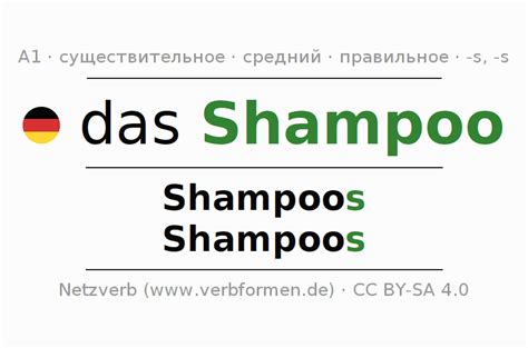 Cклонение Shampoo | Все формы, множественное число, правила, речевой ...