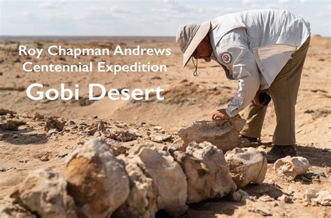 Fisher Creative | Gobi Desert Film